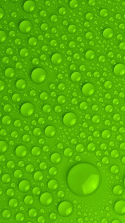 Красивые зеленые фоны скачать фон 1424 x 2532
