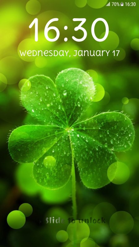 Four leaf clover with water droplets скачать фон 1080 x 1920