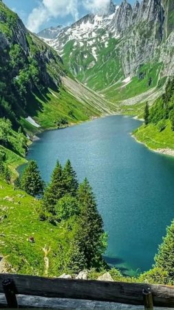 Falensee швейцария скачать фон 1080 x 1920