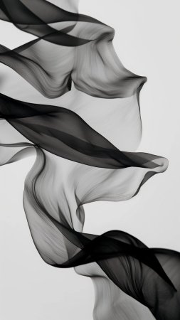 Черно белые скачать фон 1424 x 2532