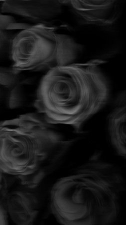 Черные цветы скачать фон 1080 x 1920