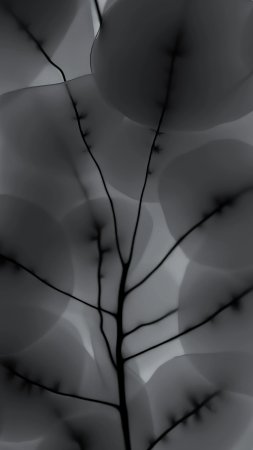 Фоновые рисунки скачать фон 2160 x 3840