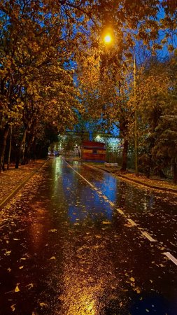 Дождливая ночь осени скачать фон 1080 x 1920