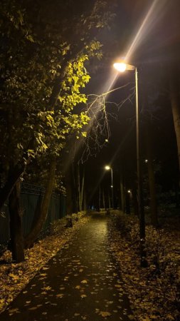 Осень ночь скачать фон 720 x 1280