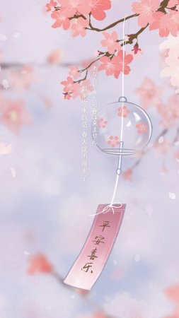 Sakura cherry blossom скачать фон 2160 x 3840