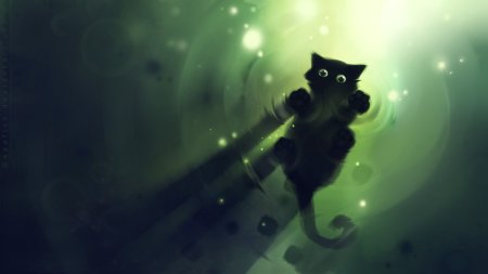 Котик арт скачать фон 1920 x 1080