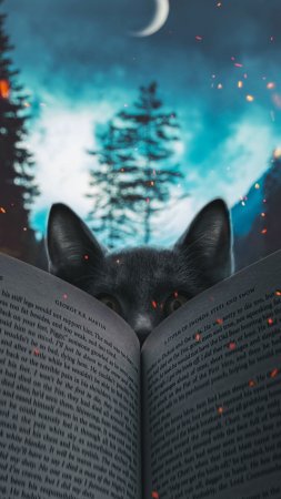 Книга ночи скачать фон 1424 x 2532