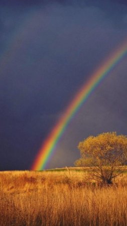 Радуга на закате