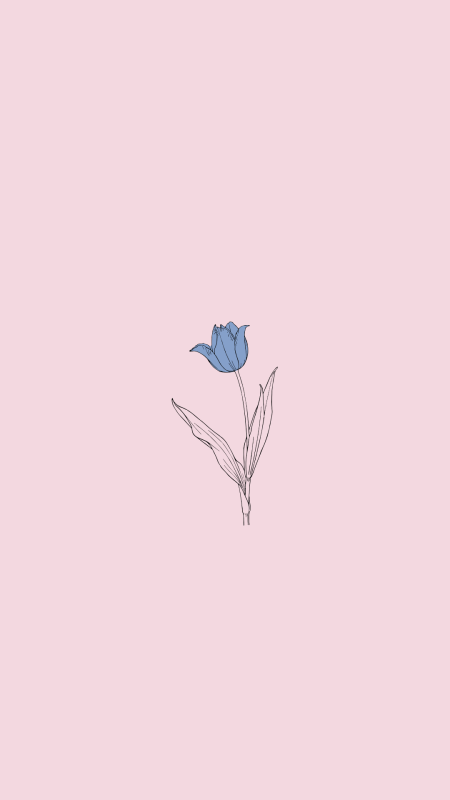 Рисунок тюльпана