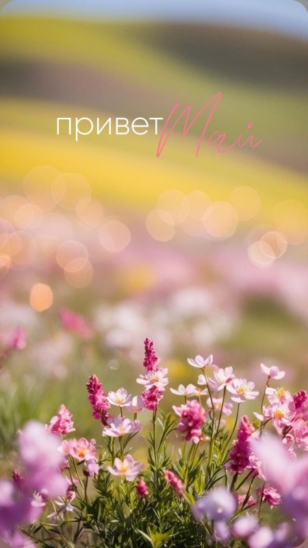 Фон пейзаж