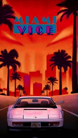 Miami nights
