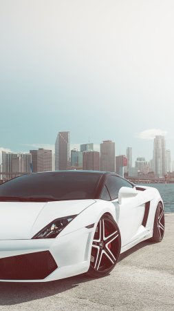 Lamborghini gallardo обои