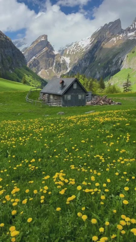 Пейзажи природа скачать фон 1080 x 1920