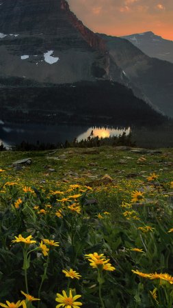 Glacier national park скачать фон 1424 x 2532