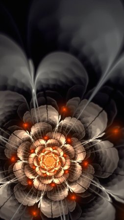 Цветы д скачать фон 1080 x 1920
