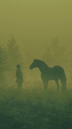 Человек лошадь скачать фон 2160 x 3840