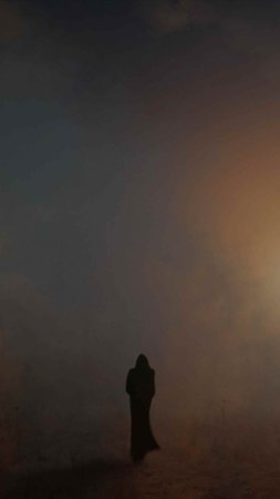 Силуэт в тумане скачать фон 2160 x 3840