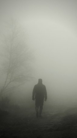Люди в тумане скачать фон 1080 x 1920