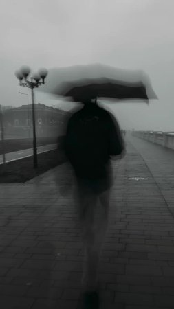 Под дождем скачать фон 1080 x 1920