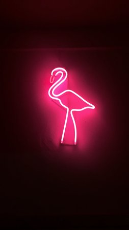 Neon flamingo