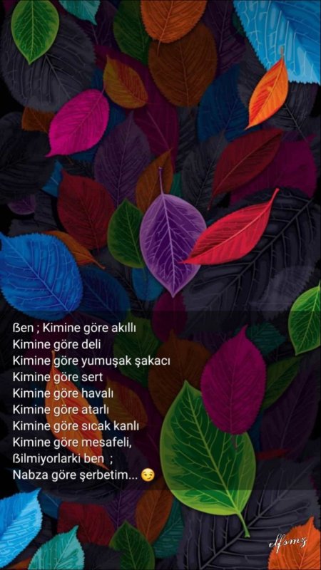 Colorful leaves