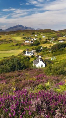 Isle of mull scotland