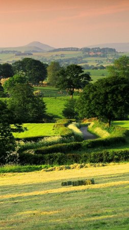 Countryside landscape