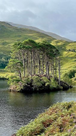Fort william scotland