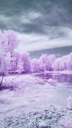 Зима в сиреневых тонах