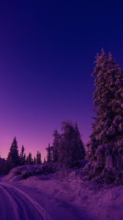 Зимний пейзаж