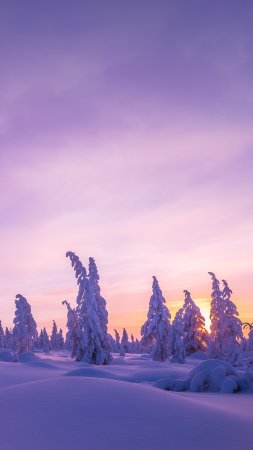 Зима красивая