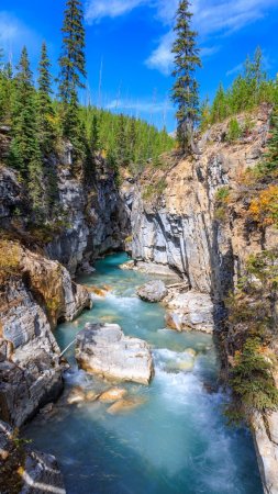 Kootenay national park of canada скачать фон 1080 x 1920
