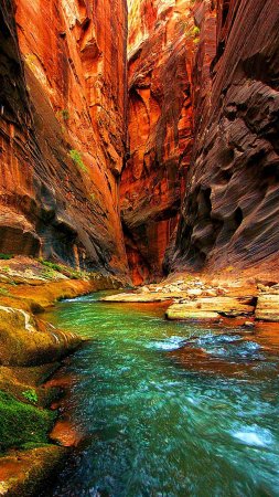 Zion canyon скачать фон 2160 x 3840