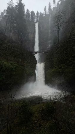 Multnomah falls