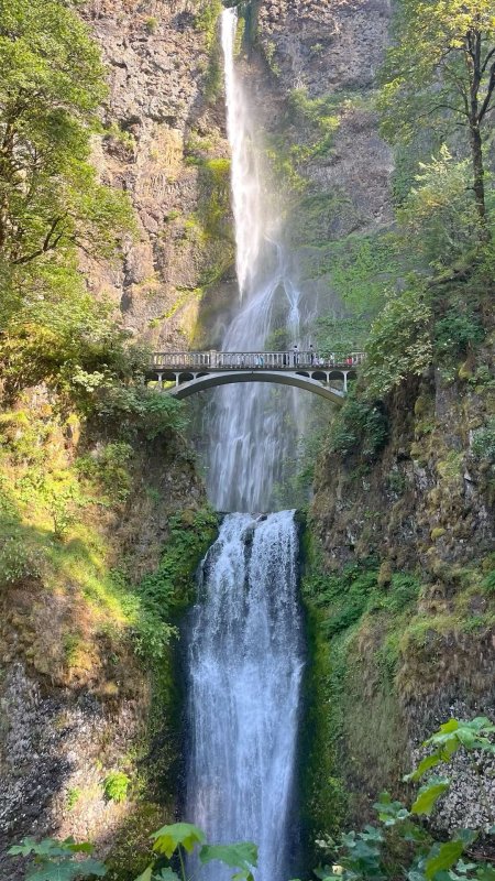 Multnomah falls