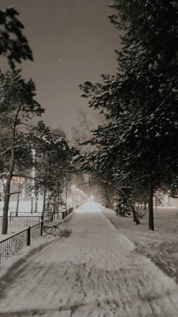 Зима ночь