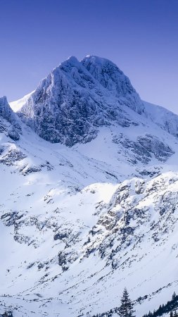 Гора бен невис в шотландии