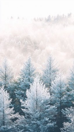 Пейзаж зимний
