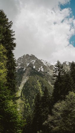 Домбай карачаево-черкесия скачать фон 2160 x 3840