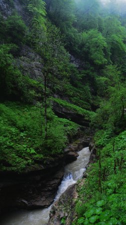 Гуамское ущелье река курджипс скачать фон 1424 x 2532