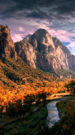 Zion national park utah скачать фон 2160 x 3840