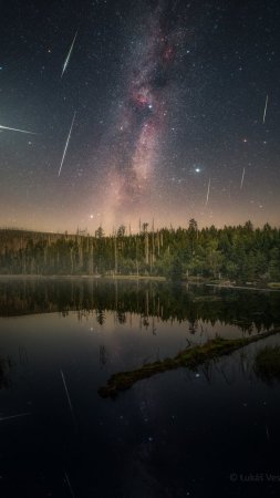 The night sky