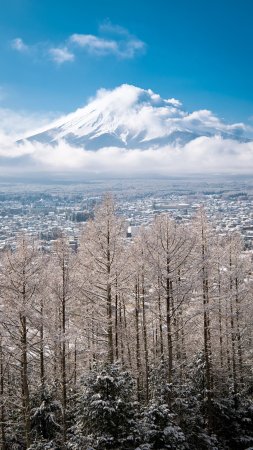 Fuji japan скачать фон 1424 x 2532