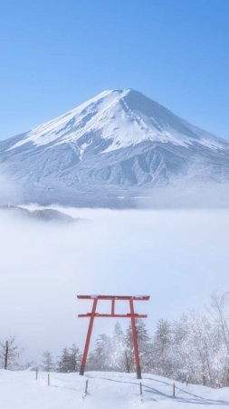 Фудзияма гора скачать фон 1080 x 1920