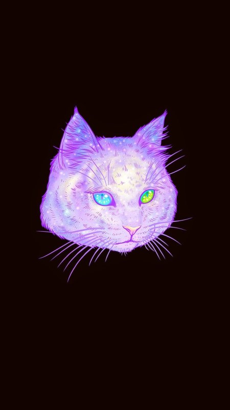 Космическая кошка арт