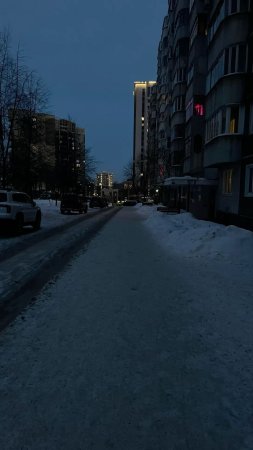 Winter night