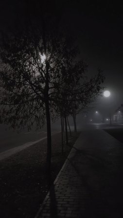 Foggy night