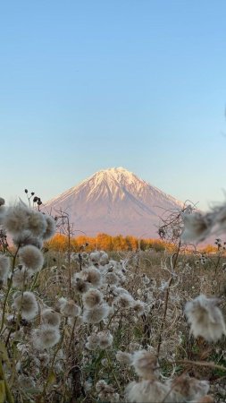Красота камчатки