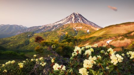Вилючинский вулкан и рододендроны