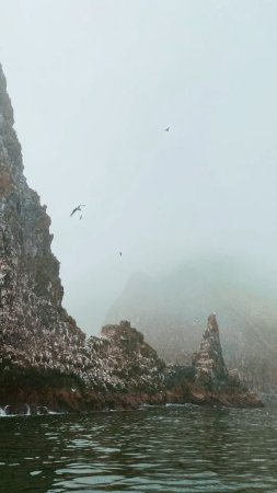 Бухта русская камчатка